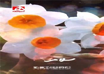 سلام زندگی، سلام عشق من...