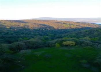 اینجا آبشار آنجلیکا مرتفعترین آبشار ایران (با ارتفاع 220 متر)